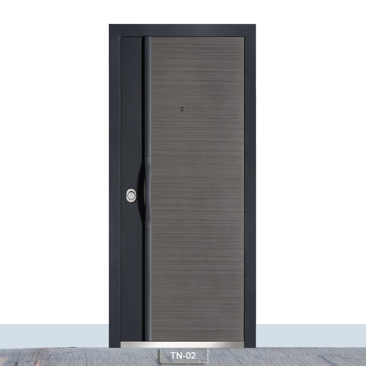 Wholesale 2019 New Style Steel Entrance Door Residential Front With Aluminum Stripes